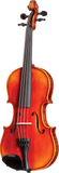 Johannes Kohr K515 4/4 Violin Outfit