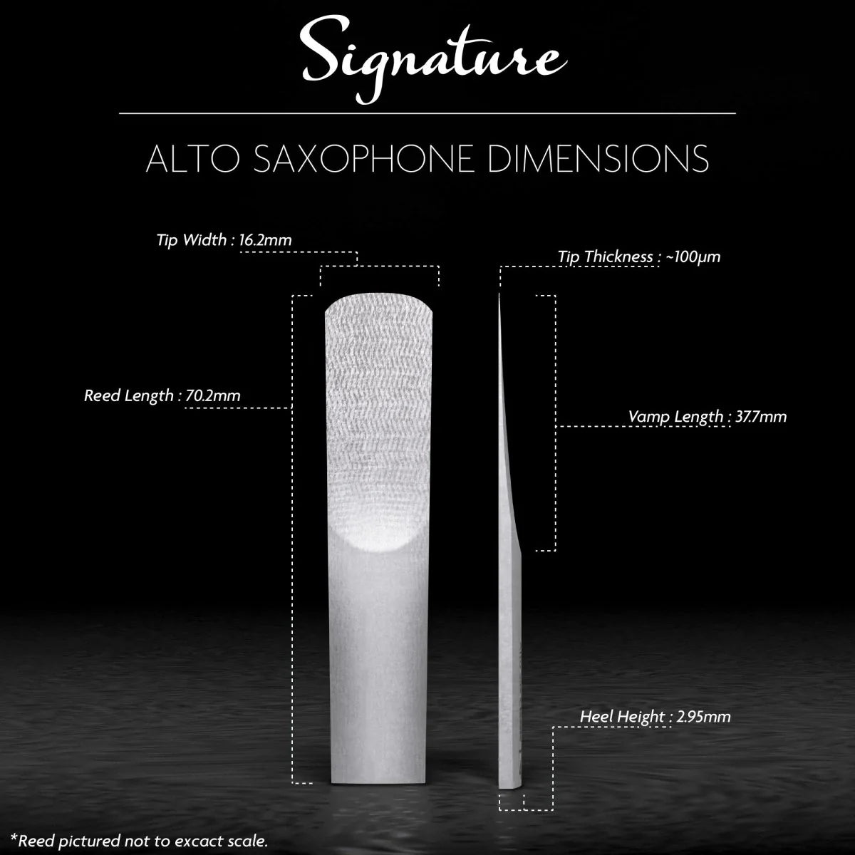 Légère Signature Alto Saxophone Synthetic Reed