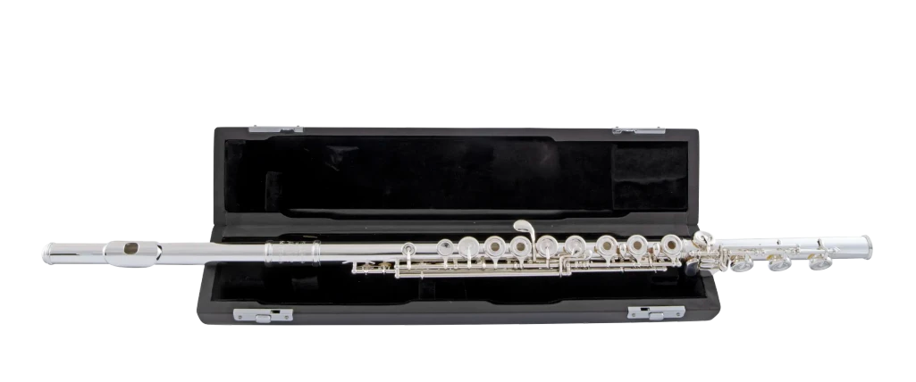 Selmer SFL611BEOC Professional Flute