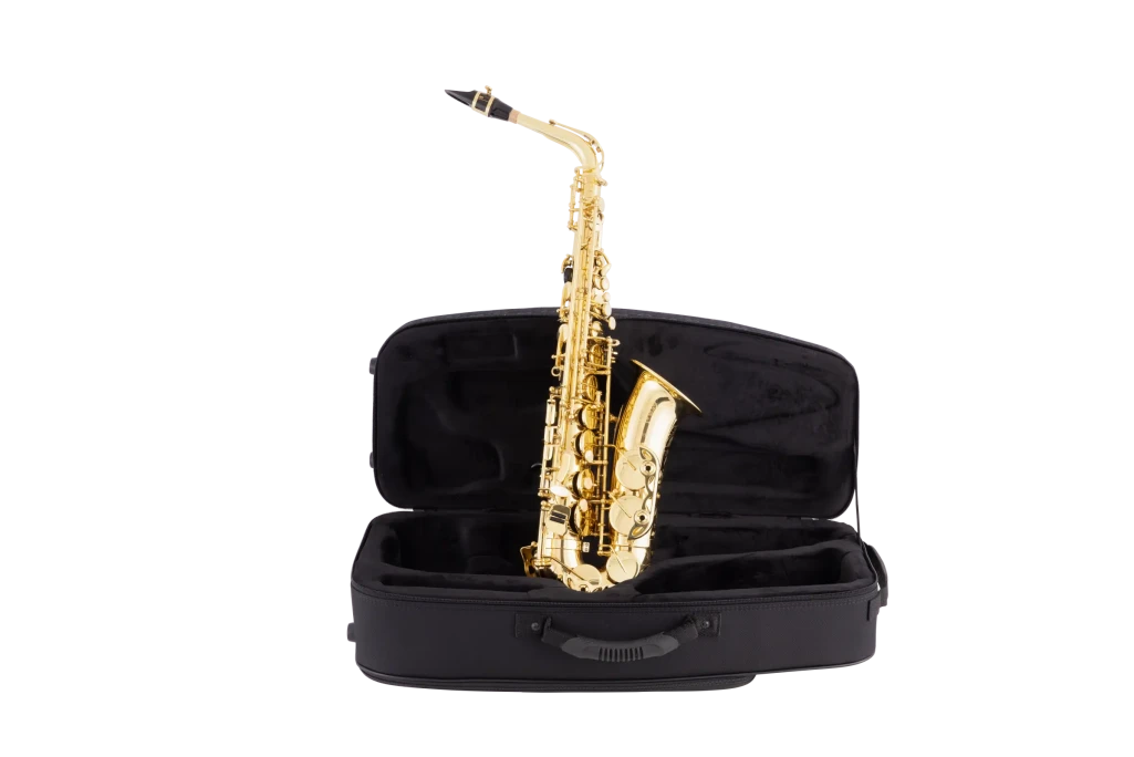 Selmer Paris 52AXOS Professional Alto Saxophone