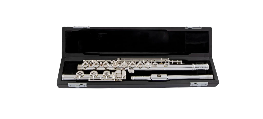 Selmer SFL611BEOC Professional Flute