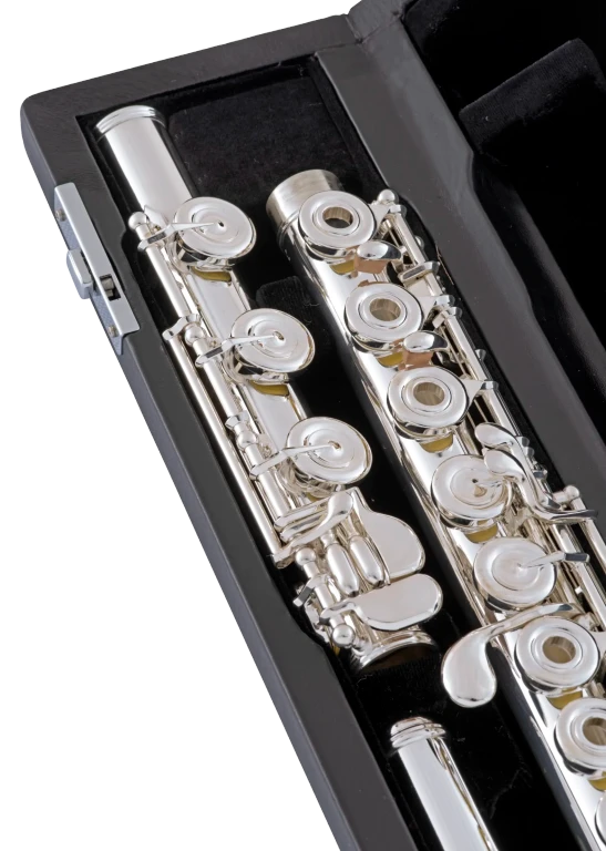 Selmer SFL611BEOC Professional Flute