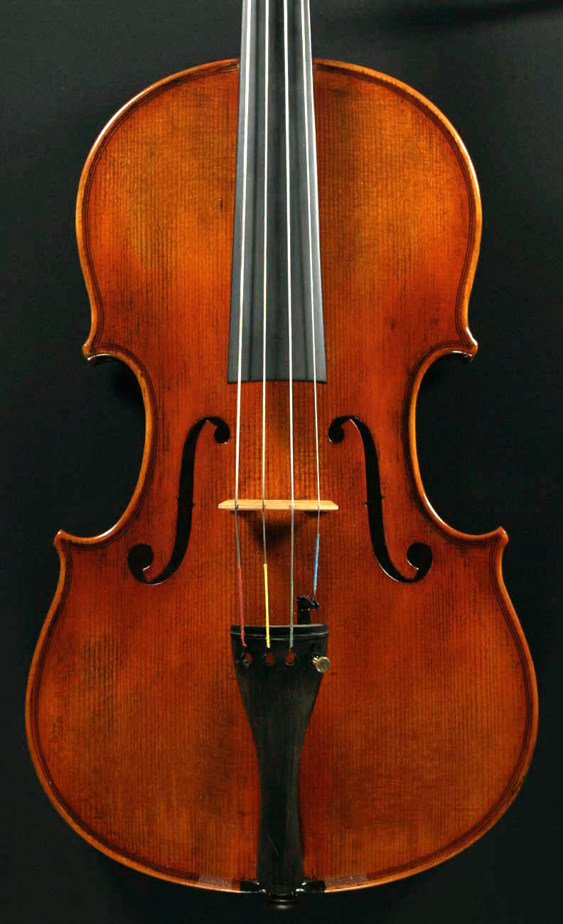 Snow SA400 Viola