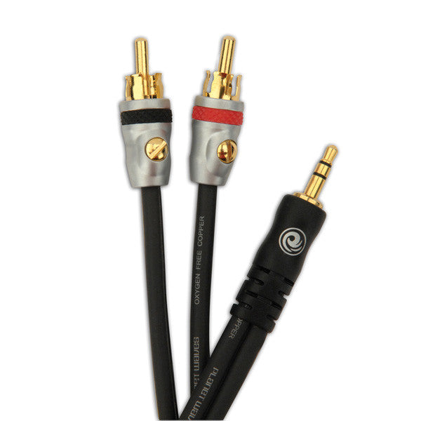 D'Addario Planet Waves Dual RCA to Stereo Mini Cable, 5 feet