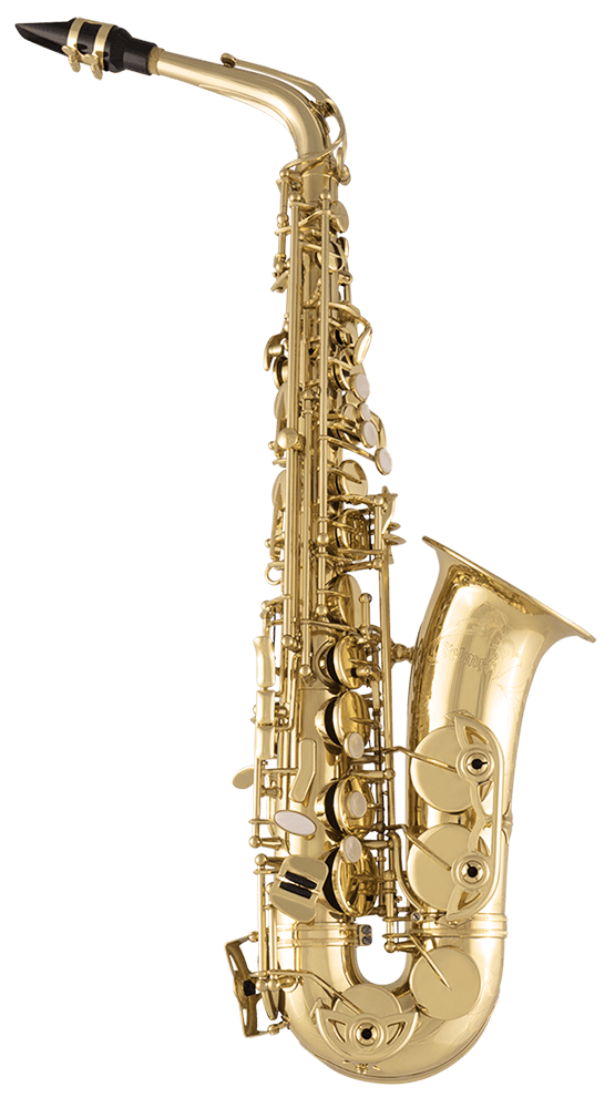 Selmer SAS711 Professional Alto Saxophone