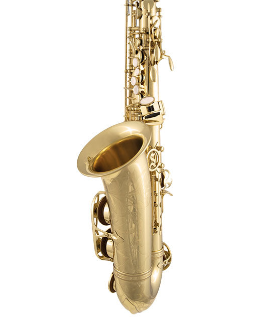 Selmer SAS711 Professional Alto Saxophone